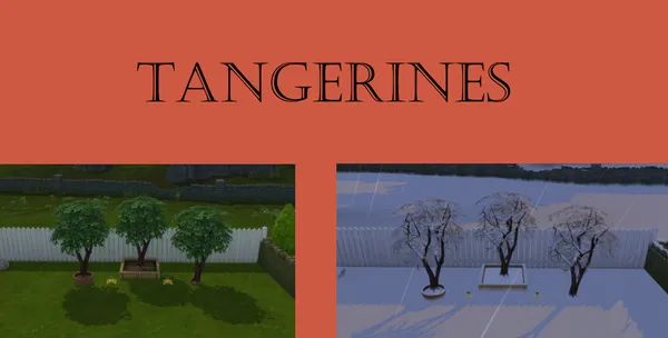 Tangerine Harvestable